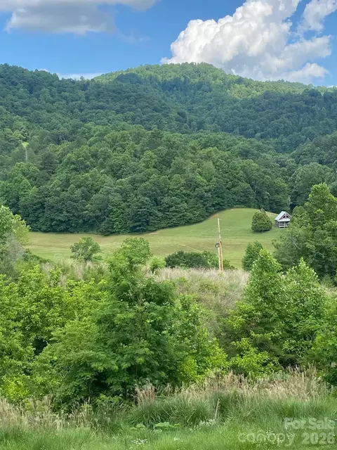000 E Fork Rd, Marshall, NC 28753 photo 13