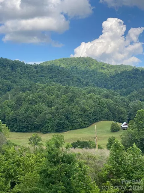 000 E Fork Rd, Marshall, NC 28753 photo 9