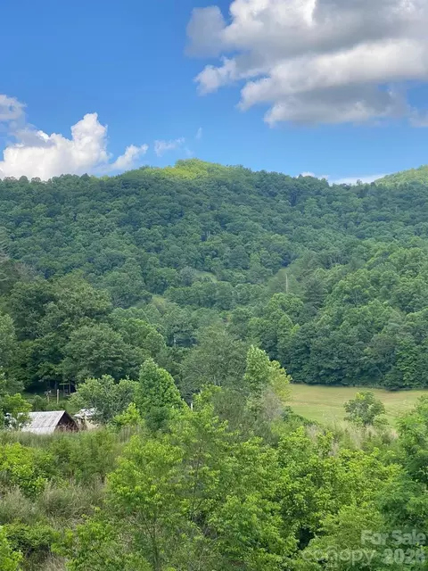 000 E Fork Rd, Marshall, NC 28753 photo 8