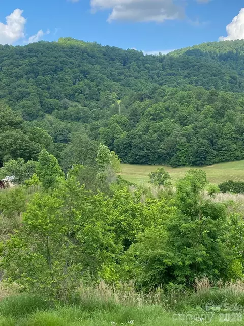 000 E Fork Rd, Marshall, NC 28753 photo 12