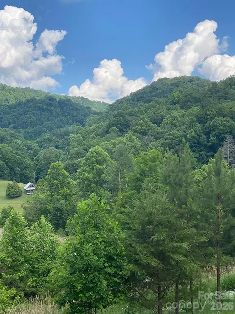 000 E Fork Rd, Marshall, NC 28753 photo 11
