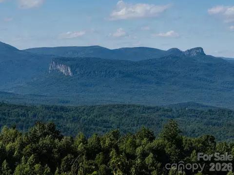 253 Falls Creek Dr, Nebo, NC 28761