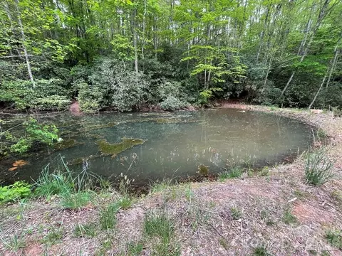 Copperhead Cove, Sylva, NC 28779 photo 6