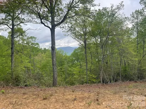 Copperhead Cove, Sylva, NC 28779 photo 3