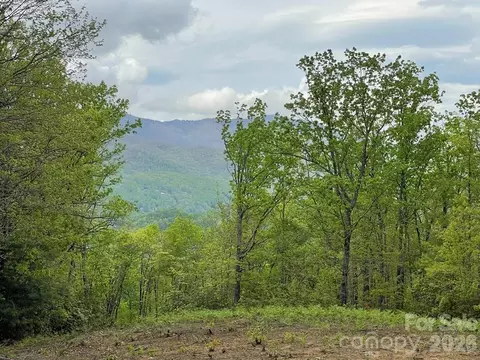 Copperhead Cove, Sylva, NC 28779 photo 5