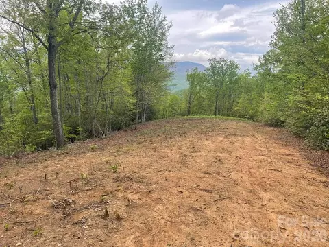 Copperhead Cove, Sylva, NC 28779 photo 7