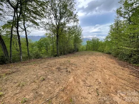 Copperhead Cove, Sylva, NC 28779
