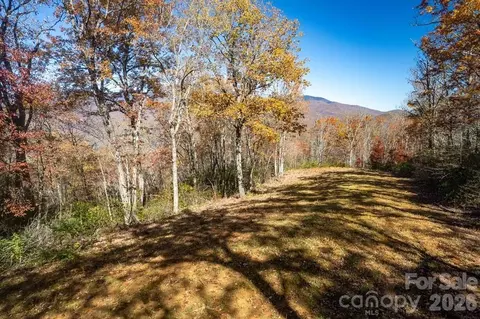 Copperhead Cove, Sylva, NC 28779 photo 4