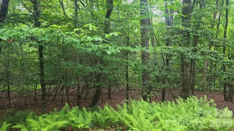 Wingfield Way, Brevard, NC 28712