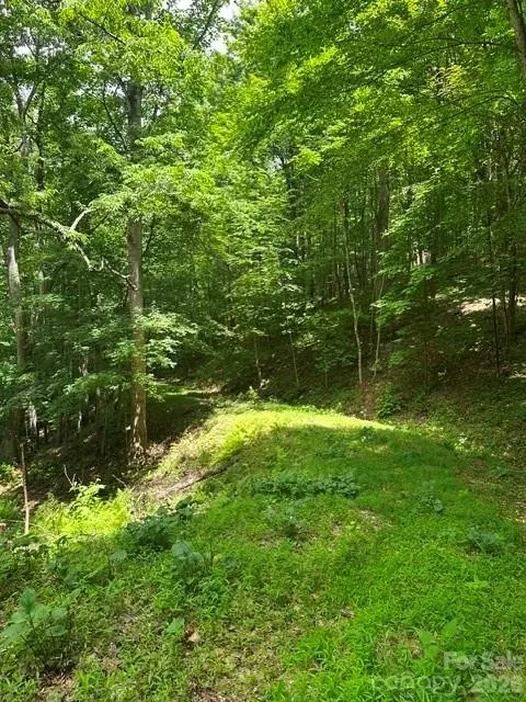 2 Mountain Home Road #2, Elk Park, NC 28622