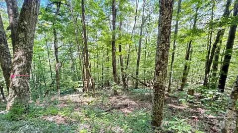 Greencove Drive, Seven Devils, NC 28604 photo 4
