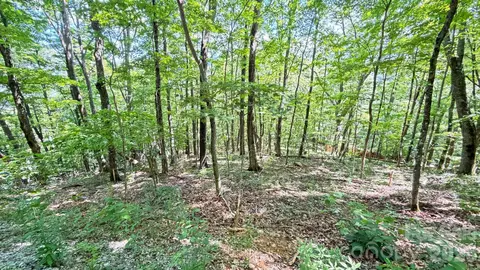 Greencove Drive, Seven Devils, NC 28604 photo 10