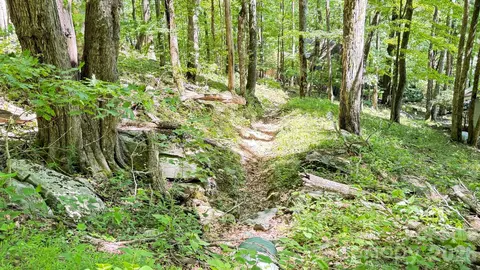 Greencove Drive, Seven Devils, NC 28604 photo 32