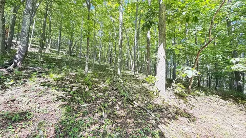 Greencove Drive, Seven Devils, NC 28604 photo 36