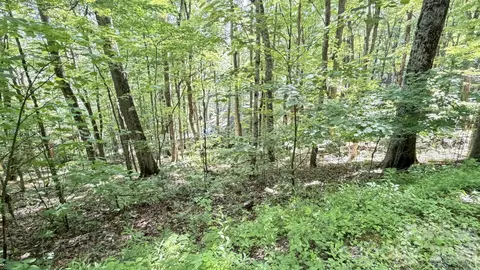 Greencove Drive, Seven Devils, NC 28604 photo 27