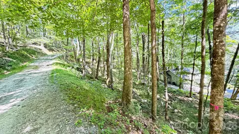 Greencove Drive, Seven Devils, NC 28604 photo 3