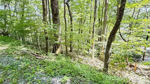 Greencove Drive, Seven Devils, NC 28604 photo 28