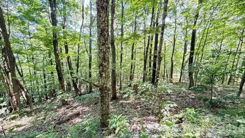 Greencove Drive, Seven Devils, NC 28604 photo 6