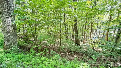 Greencove Drive, Seven Devils, NC 28604 photo 26