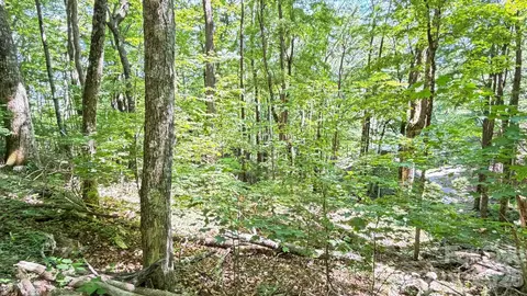 Greencove Drive, Seven Devils, NC 28604 photo 29
