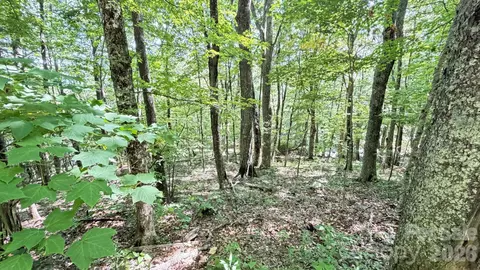 Greencove Drive, Seven Devils, NC 28604 photo 11