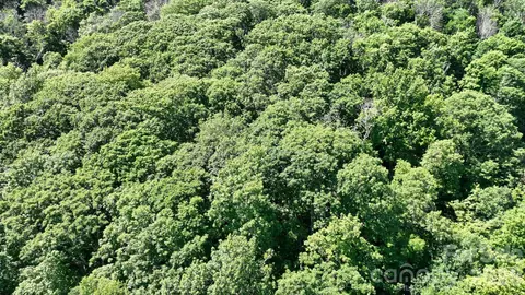 Greencove Drive, Seven Devils, NC 28604 photo 16