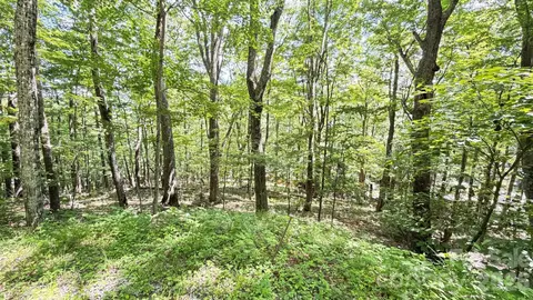 Greencove Drive, Seven Devils, NC 28604 photo 5