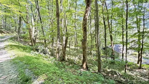 Greencove Drive, Seven Devils, NC 28604 photo 33