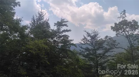 Seminole Path, Marion, NC 28752 photo 11