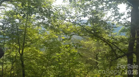 Seminole Path, Marion, NC 28752 photo 7
