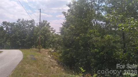 Seminole Path, Marion, NC 28752 photo 8