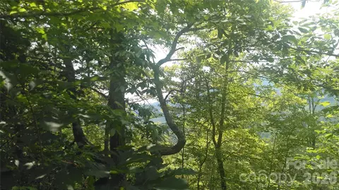 Seminole Path, Marion, NC 28752 photo 6