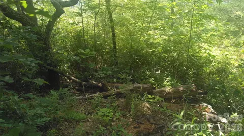 Seminole Path, Marion, NC 28752 photo 5