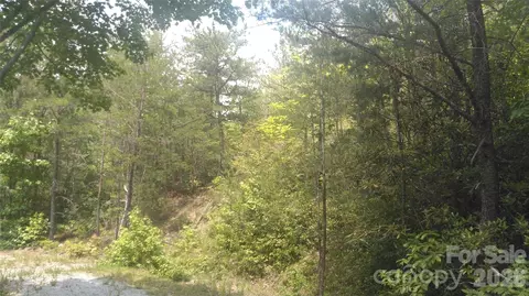 Seminole Path, Marion, NC 28752 photo 13