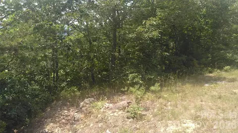 Seminole Path, Marion, NC 28752 photo 9