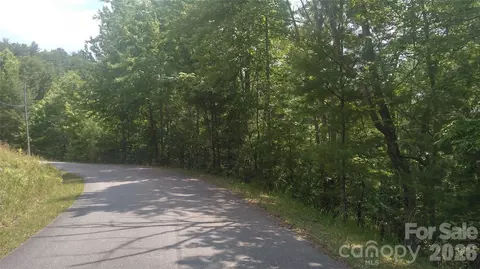 Seminole Path, Marion, NC 28752 photo 2