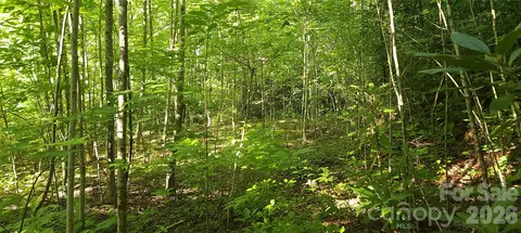 Mill Creek Road, Old Fort, NC 28762