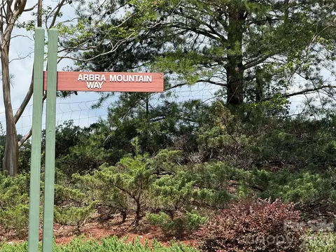 Arbra Mountain Way, Bostic, NC 28018 photo 2
