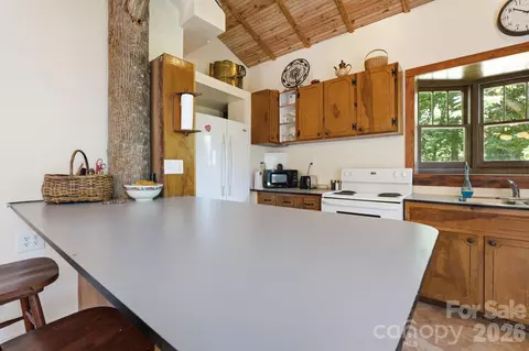 583 Dark Ridge Rd, Sylva, NC 28779 photo 19