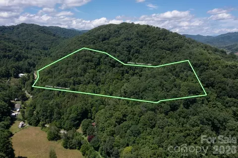 Wooded Mountain Tract 1 Trail #TRACT 1, Mars Hill, NC 28754