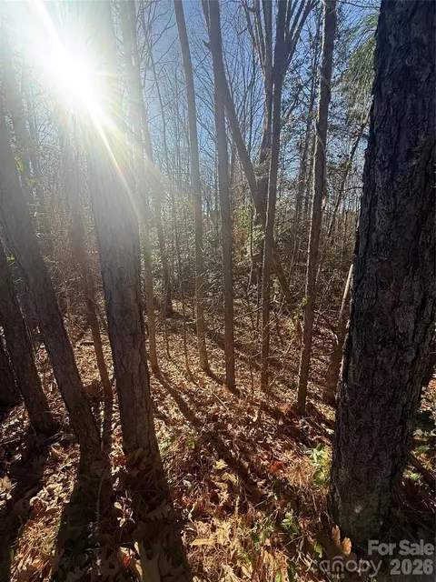 0 Liledoun 14 Rd #14, Taylorsville, NC 28681