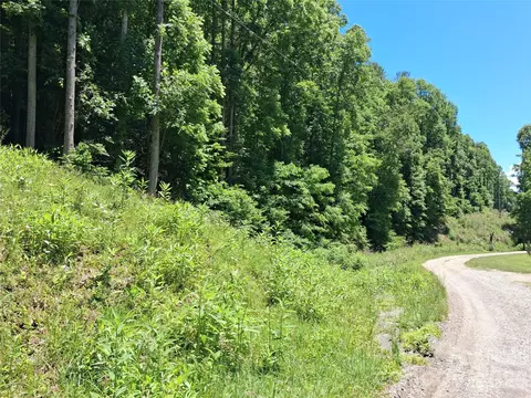 Wooded Mountain Tracts 1 & 2 Trail #TRACTS 1 & 2, Mars Hill, NC 28754