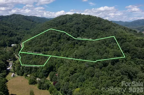 Wooded Mountain Tracts 1 & 2 Trail #TRACTS 1 & 2, Mars Hill, NC 28754