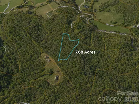 tbd 1 Panther Ridge Ln, Franklin, NC 28734 photo 6