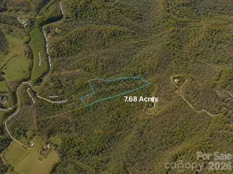 tbd 1 Panther Ridge Ln, Franklin, NC 28734 photo 10