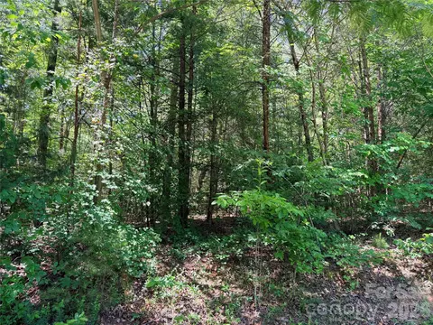 00 Grassy Knob 5 Rd #5, Mill Spring, NC 28756 photo 9