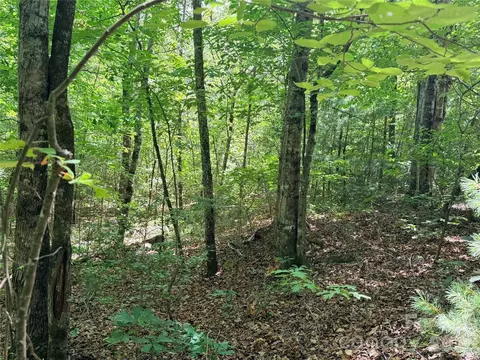 00 Grassy Knob 5 Rd #5, Mill Spring, NC 28756 photo 7