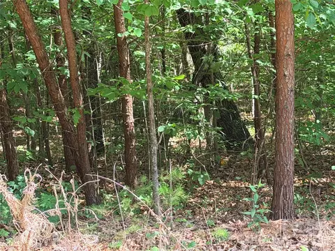 00 Grassy Knob 5 Rd #5, Mill Spring, NC 28756 photo 8
