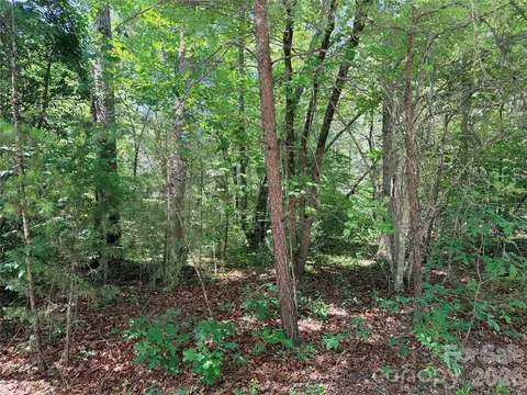 00 Grassy Knob 5 Rd #5, Mill Spring, NC 28756 photo 10