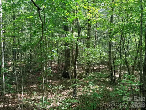 00 Grassy Knob 5 Rd #5, Mill Spring, NC 28756 photo 6